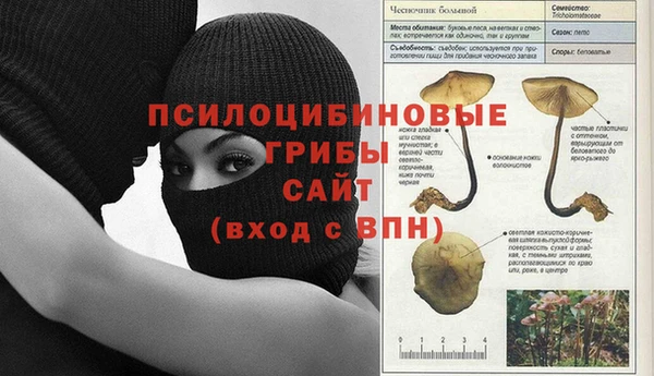 мет Кукмор