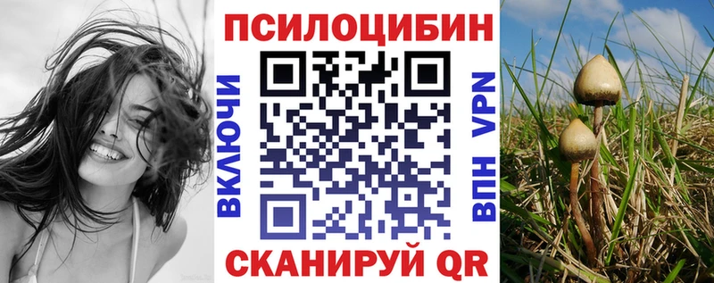 Псилоцибиновые грибы мицелий  Мглин 